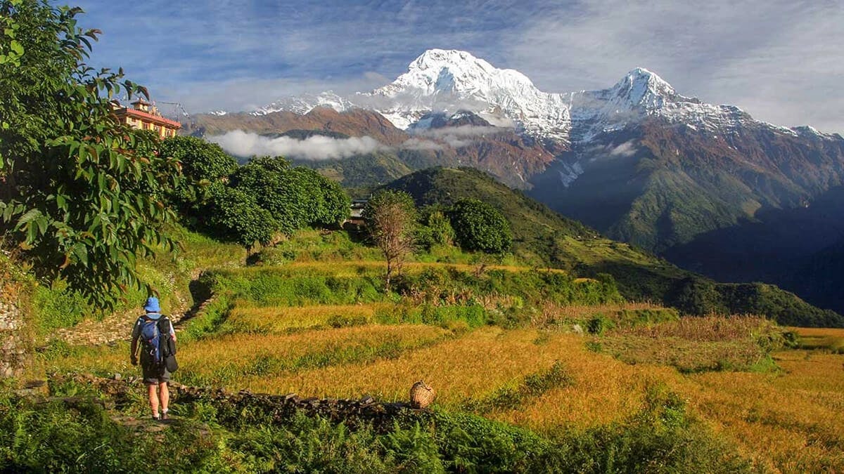 Annapurna Royal Trekking