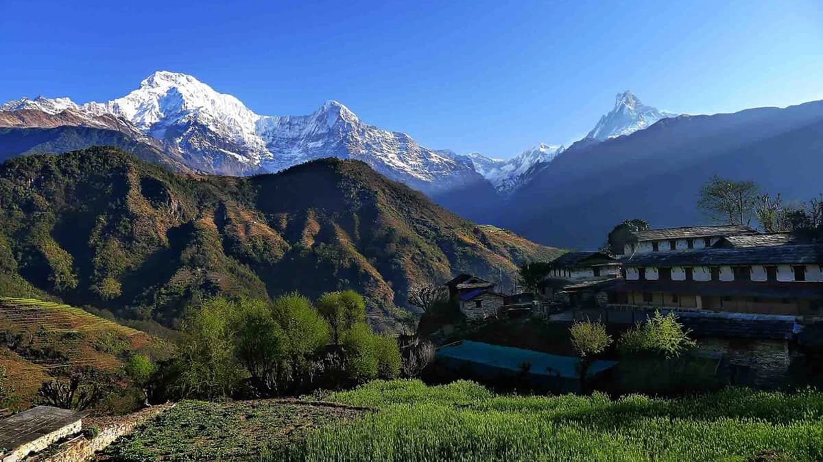 Annapurna Mohare Danda Trek