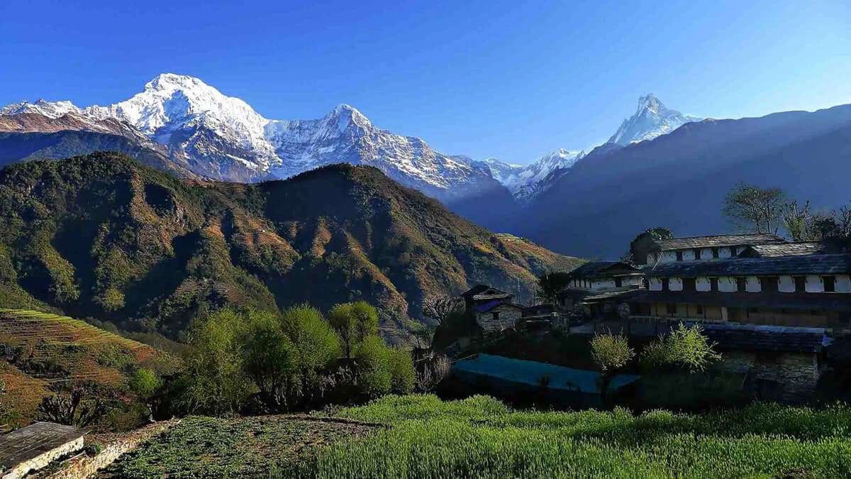 Annapurna Panorama View Trekking