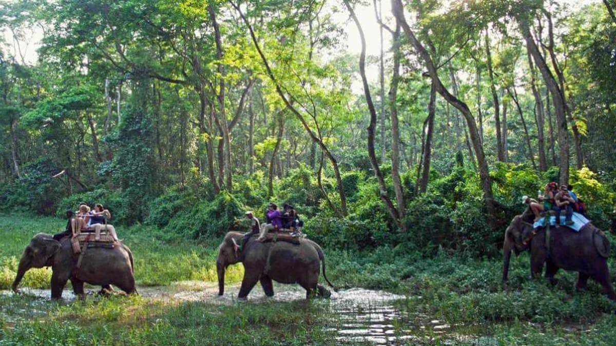 Ghorepani Poon Hill Trekking And Chitwan Jungle Safari
