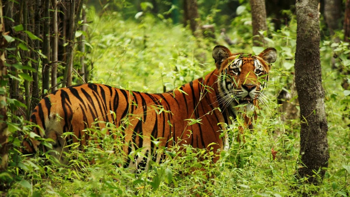 ECO-FRIENDLY TOURS IN NEPAL