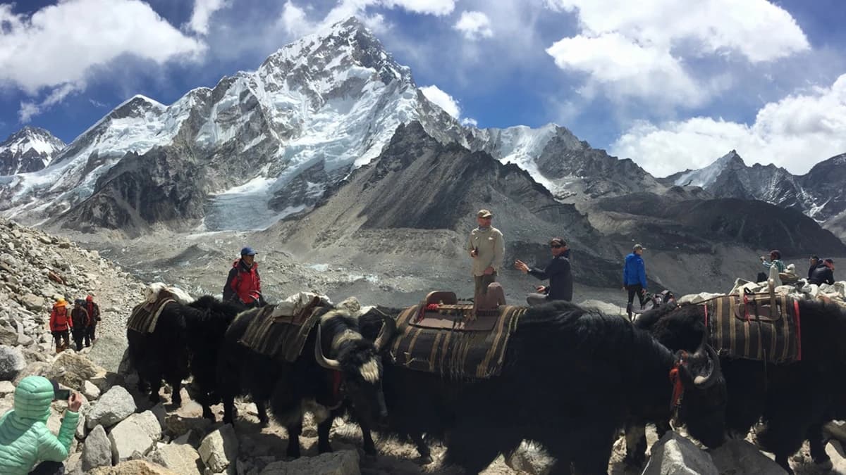 EVEREST BASE CAMP TREK FOOD