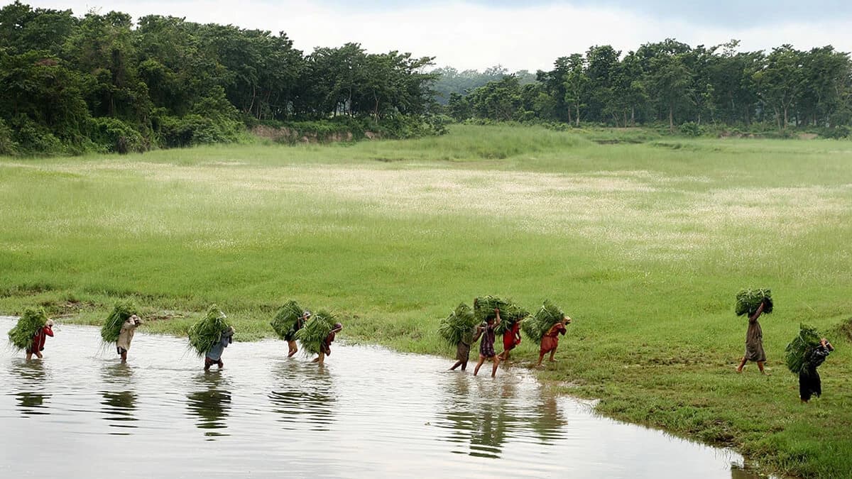 Bardia National Park Jungle Safari