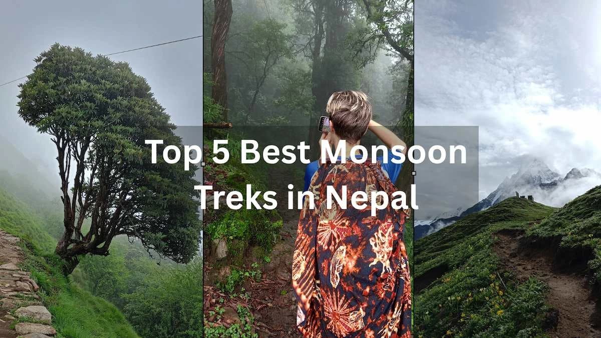 Top 5 Best Monsoon Treks in Nepal