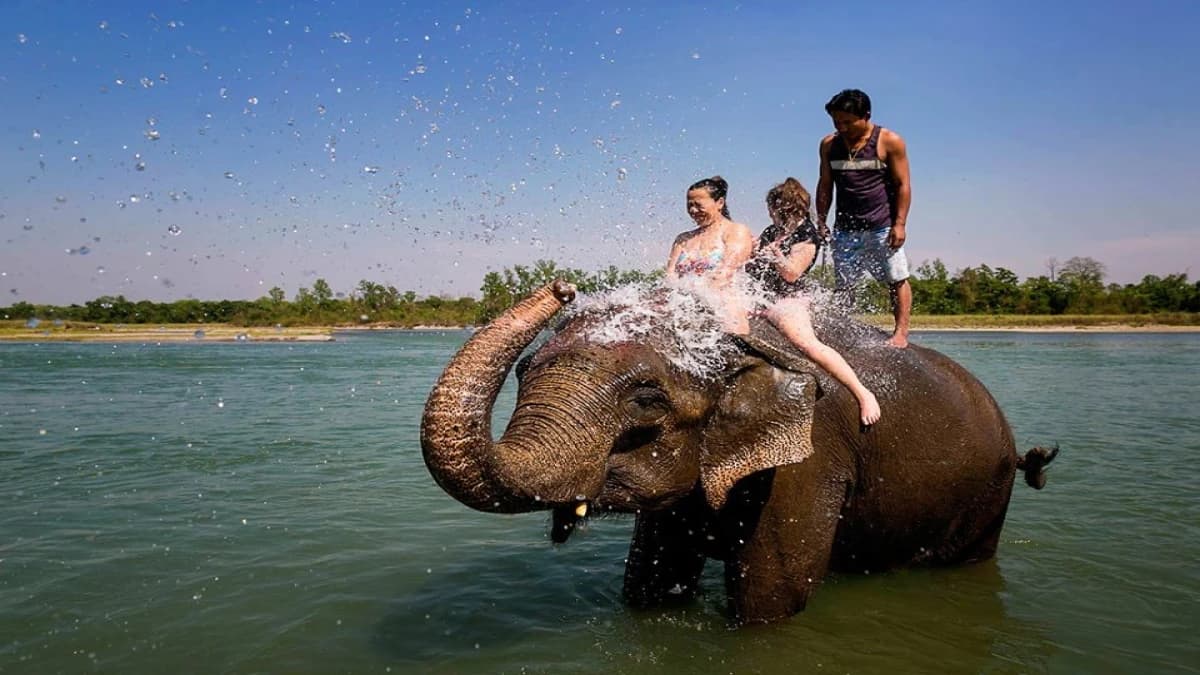 Elephant Ride Chitwan