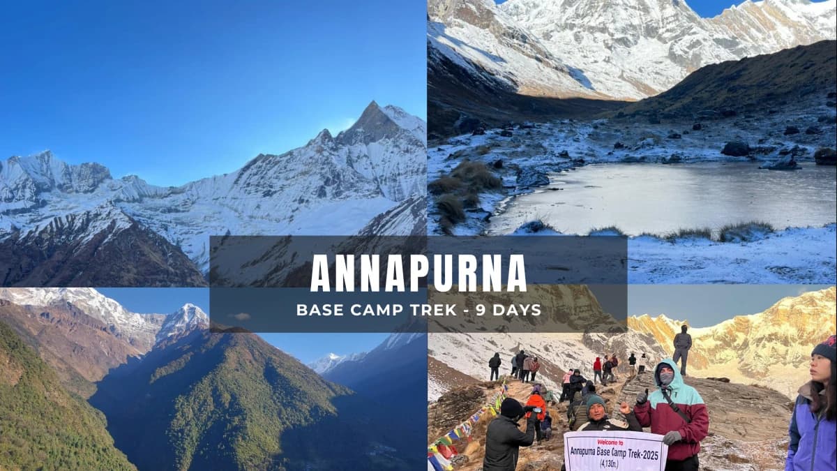 Annapurna Base Camp Trek via Poonhill - 9 days