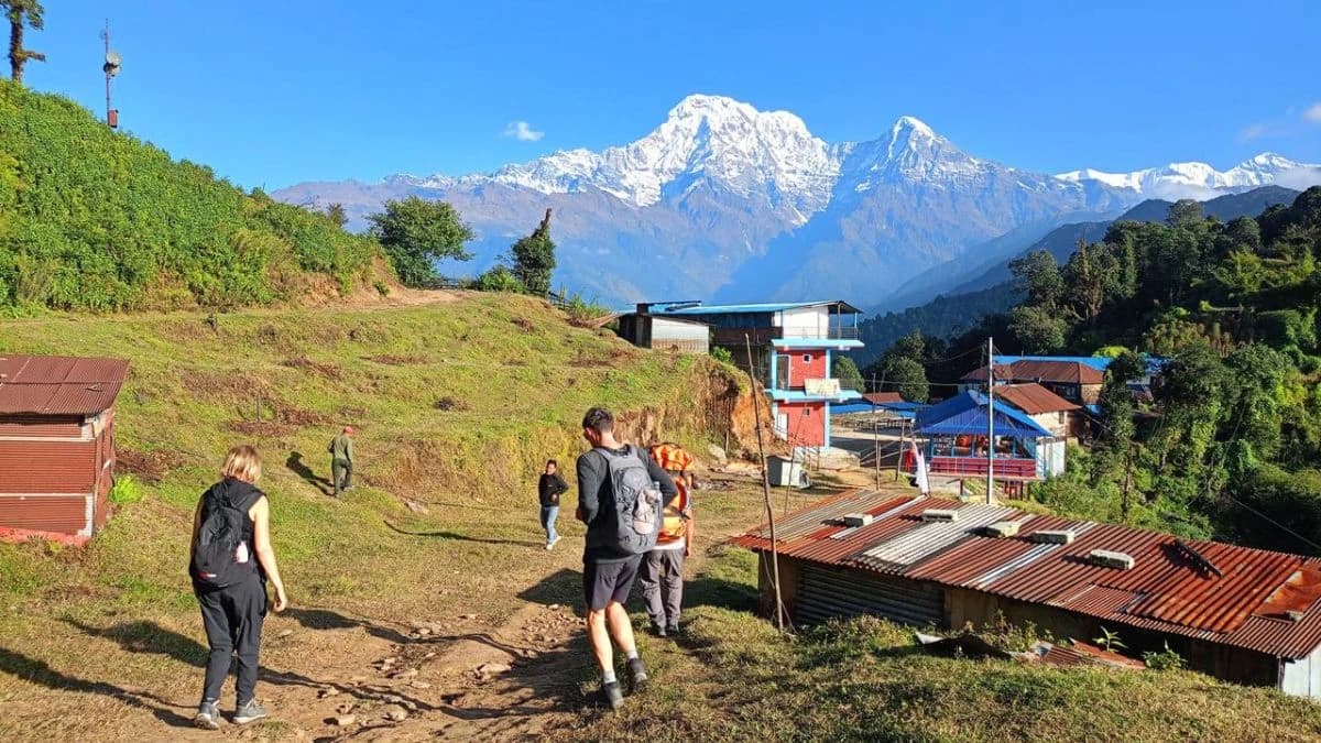 1 Day Hike Dhampus via Australian Camp