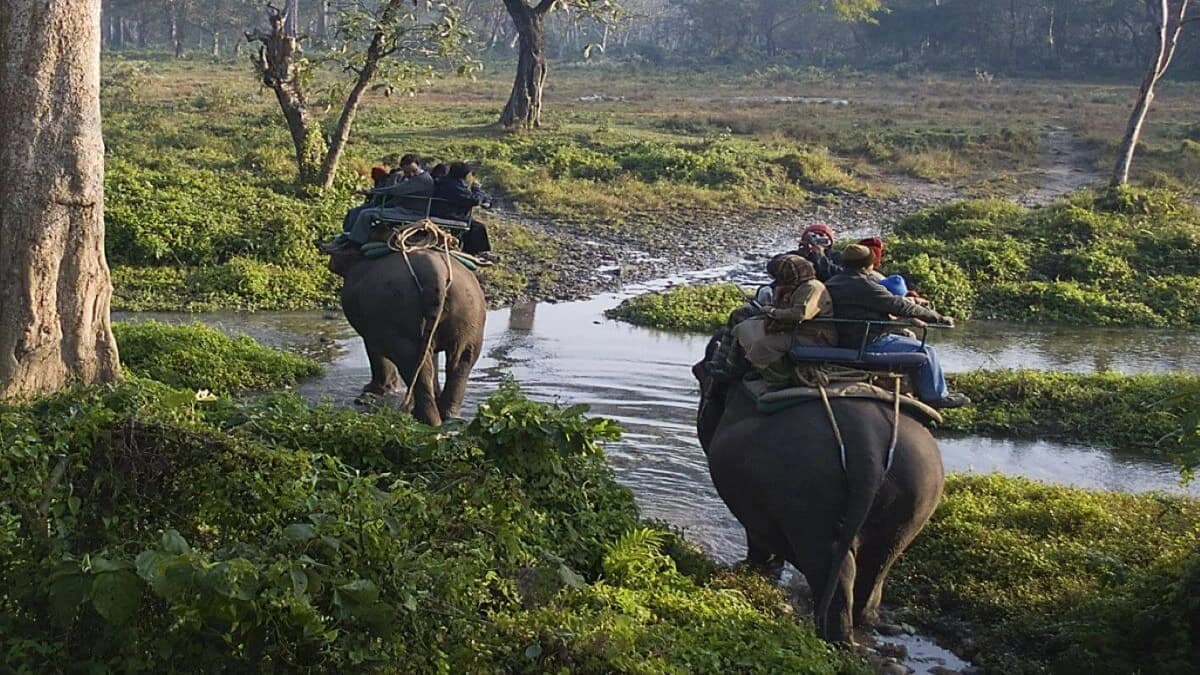 safari chitwan