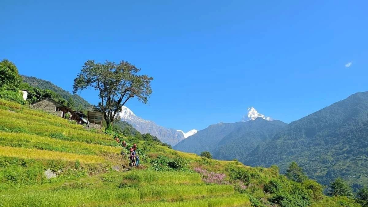 Annapurna Ghandruk Village Trek - 3 Days