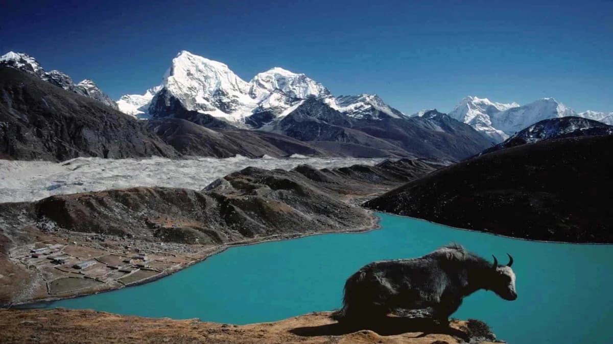 Yak-Gokyo-Lake