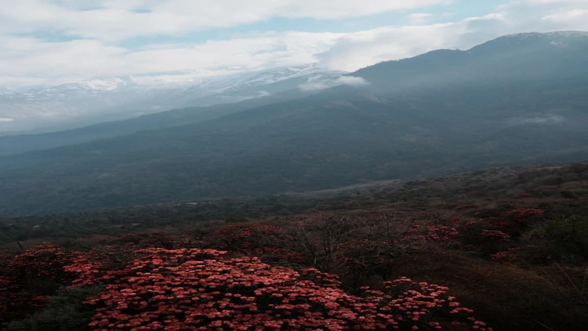 Poon Hill Gorepani Trek