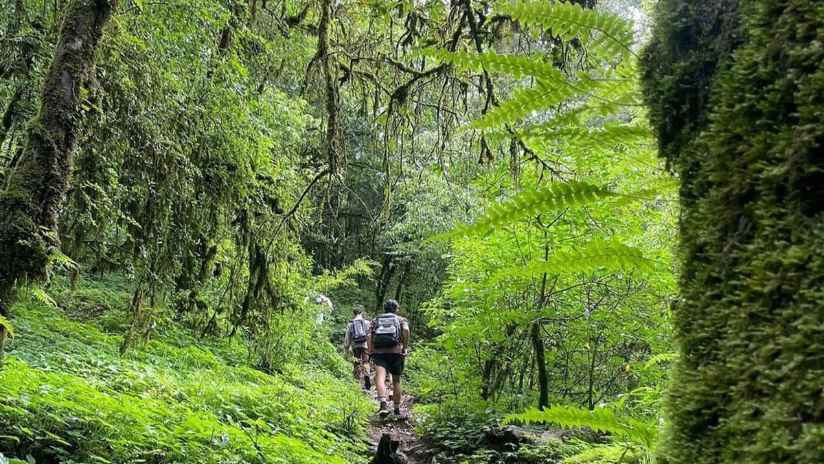 Easy 1 day hiking in kathmandu