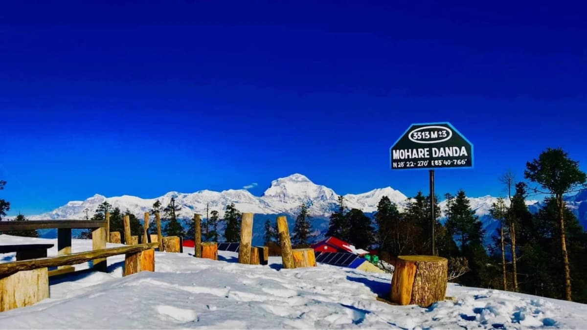 Mohare Danda View Annapurna Region