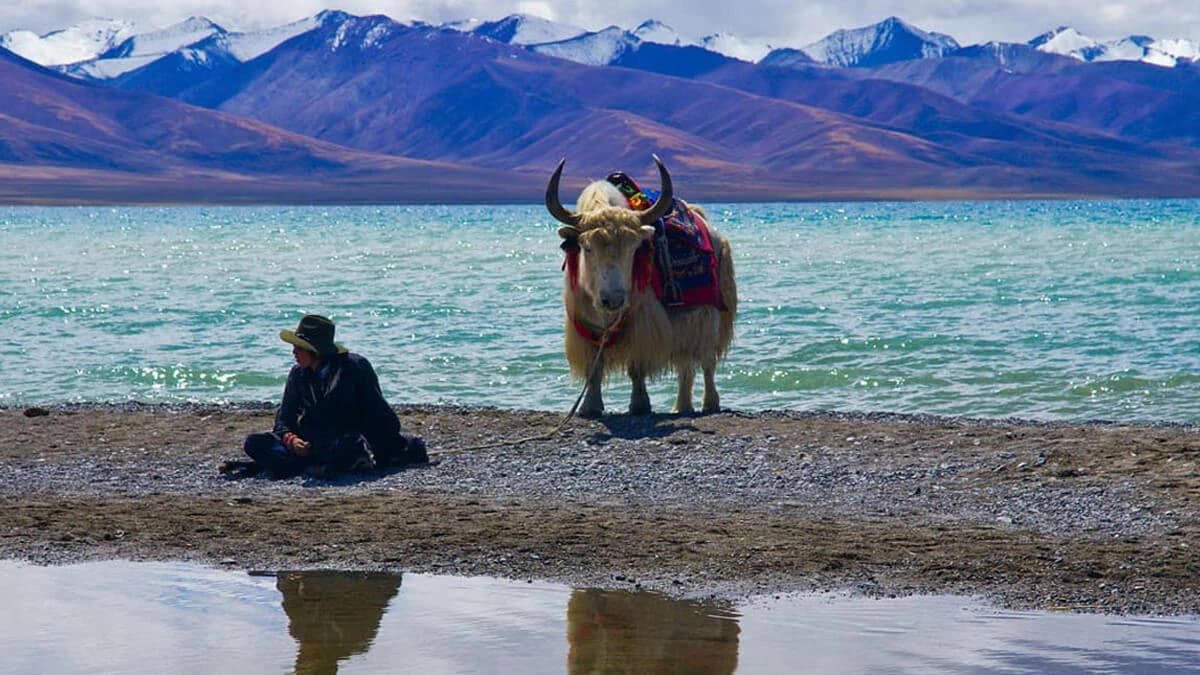 Namtso Lake Trek