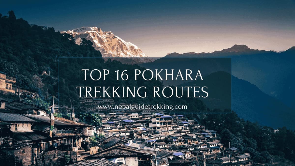Top 16 Pokhara Trekking Routes – Best Treks from Pokhara
