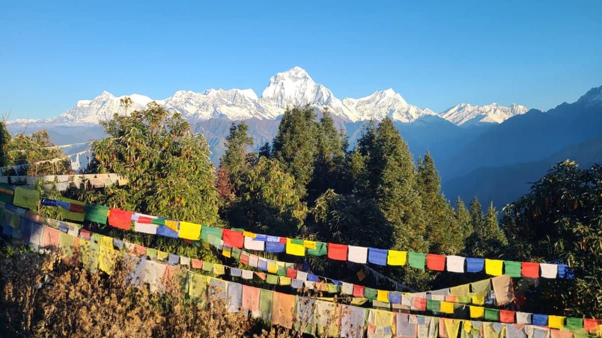 Annapurna Panorama View Trekking - 11 Days