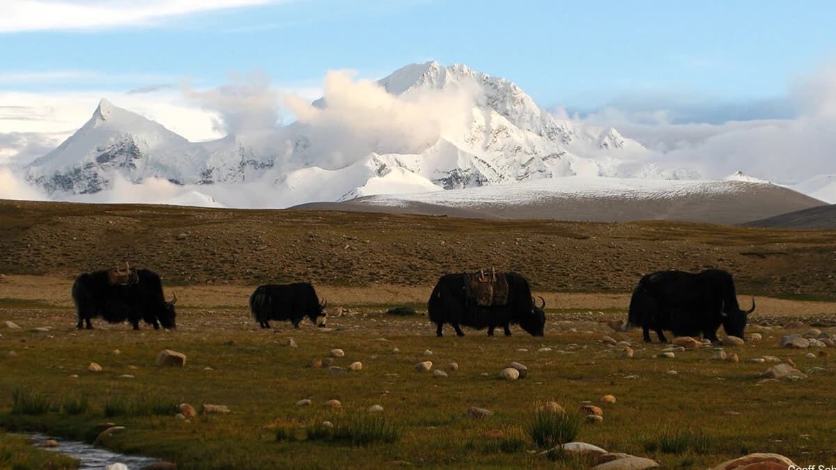 Shishapangma Expedition