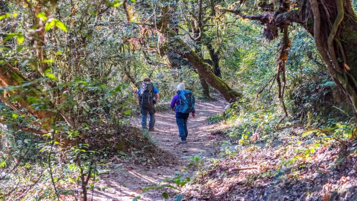 Shivapuri-National-Park