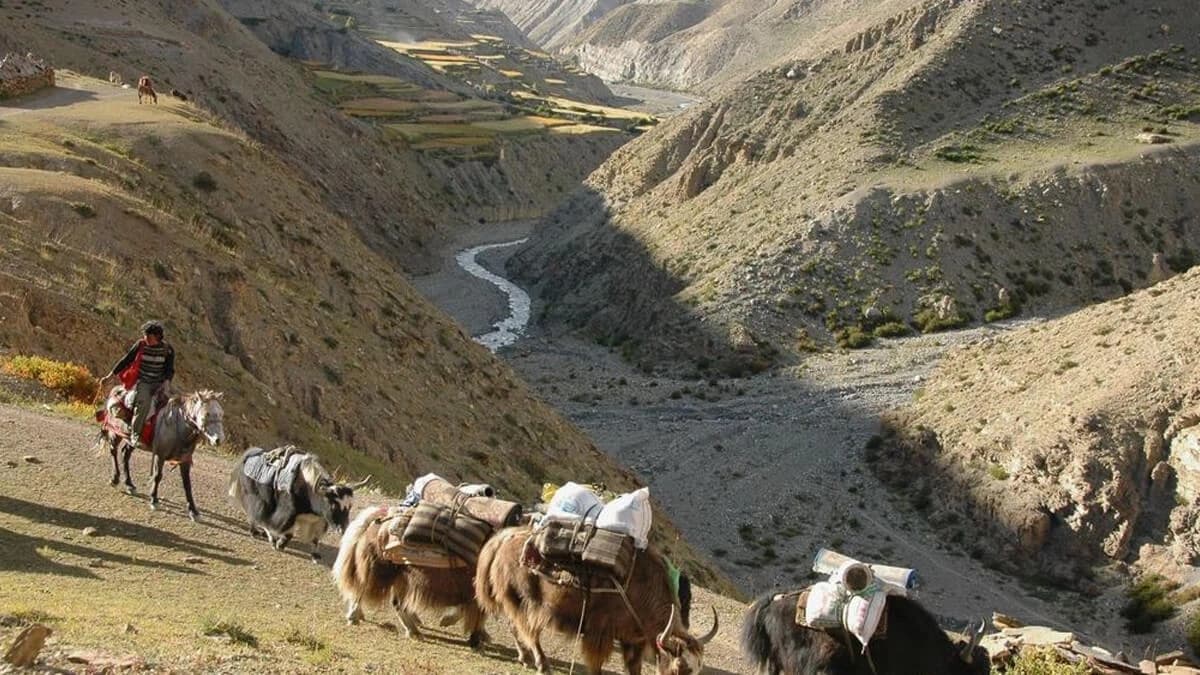 Upper Dolpo Trekking