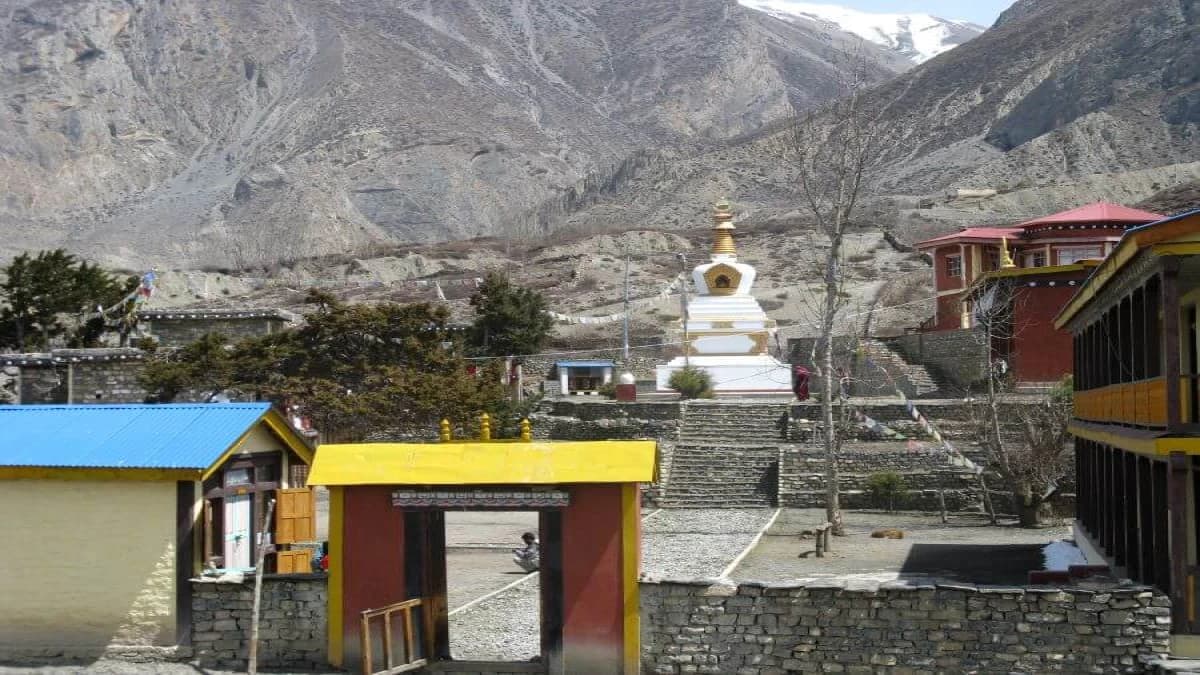 upper-mustang