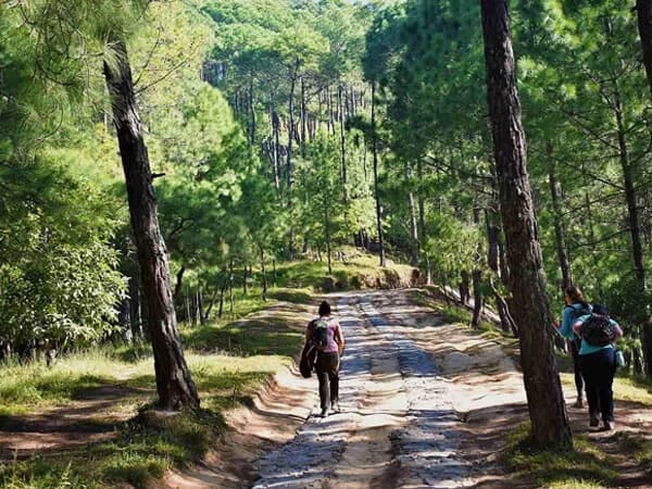 Champadevi Hike