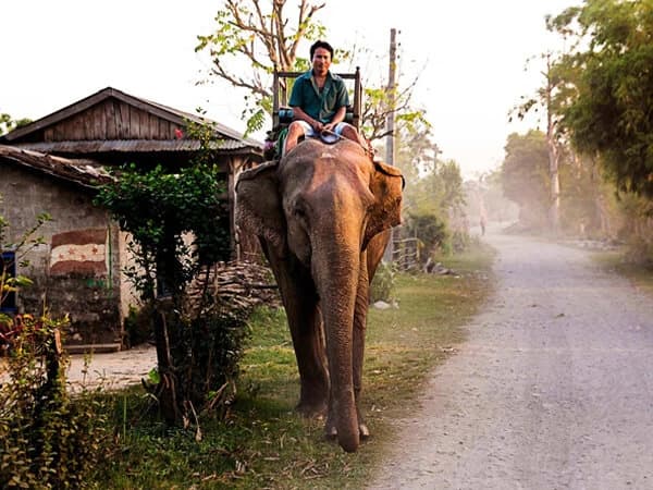 Chitwan National Park Jungle Safari