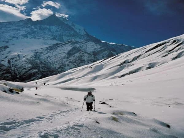 'royal-annapurna-trek.jpg